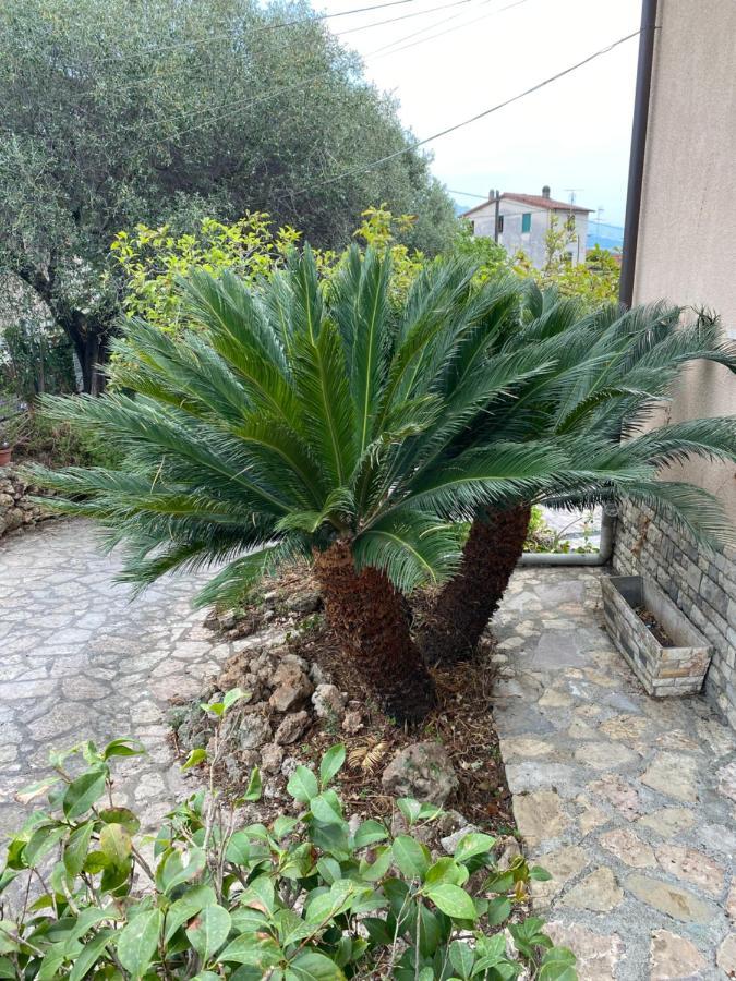 דירות Romito Magra Il Giardino Delle Cycas מראה חיצוני תמונה